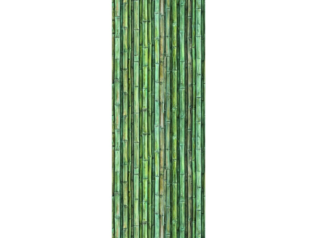 Marburg bambusový plot (3)